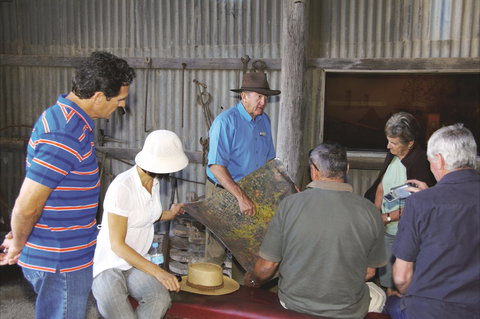 Venus Gold Battery - Tourism Search 1