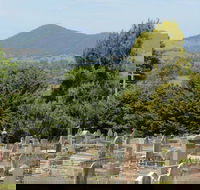 Yackandandah Cemetery - Tourism Search