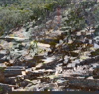Adelong Falls Gold Mill Ruins - Tourism Search