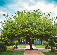Ainslie  Gorman Arts Centres - Tourism Search