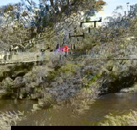 Avon Park - Tourism Search