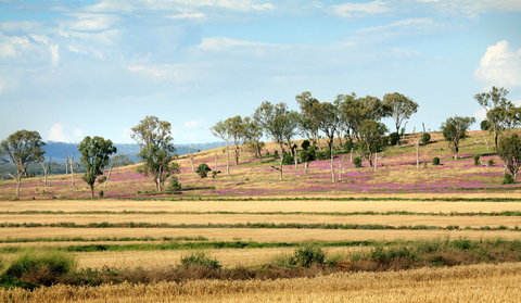 Bell - Tourism Search 1