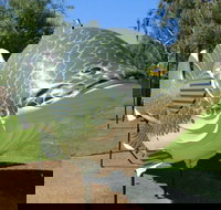 Big Murray Cod - Tourism Search