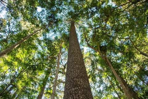 Big Sky National Parks - Tourism Search 0