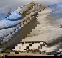 Big Merino - Tourism Search