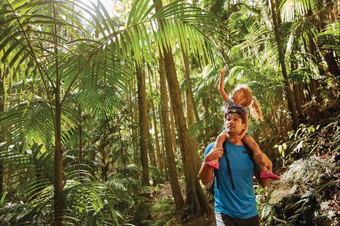 Canungra - Tourism Search 0