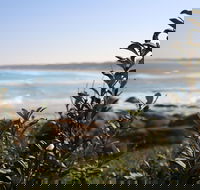 Cape Conran Coastal Park - Tourism Search