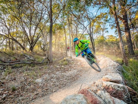 Castle Hill Blackstone Reserve - Tourism Search 0