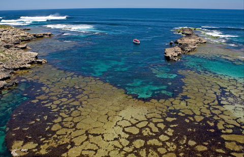 Cathedral Rocks Viewing Platform - Tourism Search 0