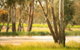 Cecil Plains To Tara Fishing Tour - thumb 1