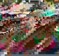 Chinchilla - Tourism Search