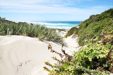 Coffin Bay National Park - Tourism Search 1