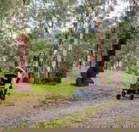 Currawong Bush Park - Tourism Search