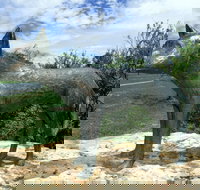 Dingo Statue - Tourism Search