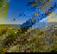 Dunwich Goompie - Tourism Search