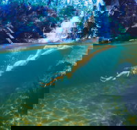 Glenreagh - Tourism Search