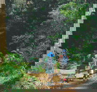 Gloucester National Park - Tourism Search