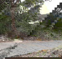 Great North Walk  Ku-ring-gai Chase National Park - Tourism Search