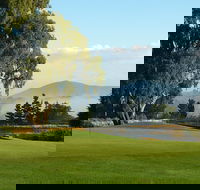 Kangaroo Tours at Gisborne Golf Club Inc - Tourism Search