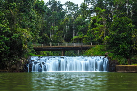 Malanda Falls - Tourism Search 0