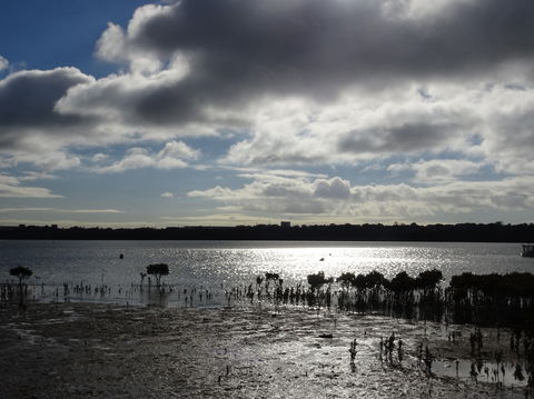Marine Parade (Hastings Foreshore Reserve) Circuit - Cycling - Tourism Search 0