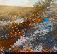 Mountain Biking in Alice Springs - Tourism Search