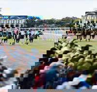 Oakbank - Tourism Search