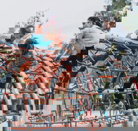 Oddies Creek Adventure Playspace - Tourism Search