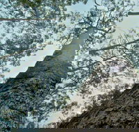 O'Sullivans Gap Picnic Area - Tourism Search