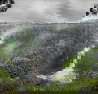 Oxley Wild Rivers National Park - Tourism Search