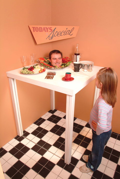 Phillip Island Experience - Tourism Search 0