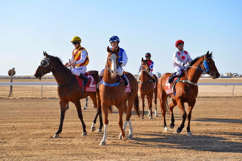 Simpson Desert Racing Carnival Trail - Tourism Search 0