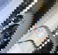 Southern Tablelands Gliding Club - Tourism Search