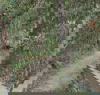 Springwood Conservation Park - Tourism Search