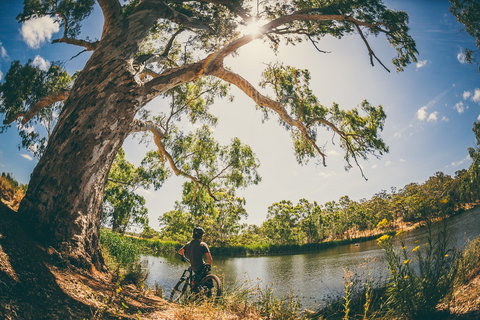 Sturt Gorge Recreation Park - Tourism Search 0