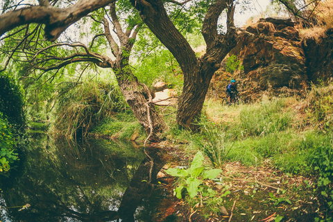 Sturt Gorge Recreation Park - Tourism Search 1