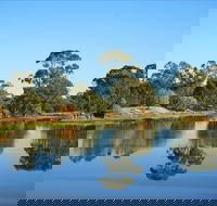 The Gums - Tourism Search