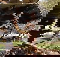 Walcha Open Air Gallery - Tourism Search