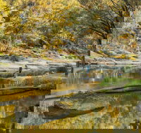 Warrabah National Park - Tourism Search