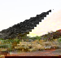 Whyalla Conservation Park - Tourism Search