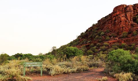Whyalla Conservation Park - Tourism Search 0