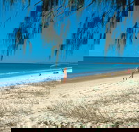 Woodgate Beach Park and Playground - Tourism Search