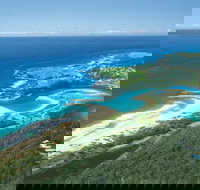 Apex Park Picnic Area Narooma - Tourism Search