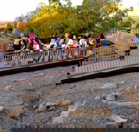 Australian Age of Dinosaurs - Tourism Search