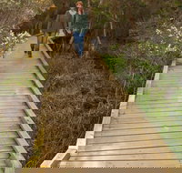 Balcombe Creek Estuary Boardwalk - Tourism Search