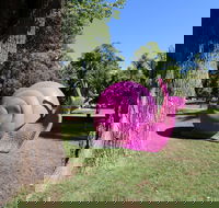 Belmore Park - Tourism Search