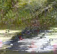 Berry Springs - Tourism Search