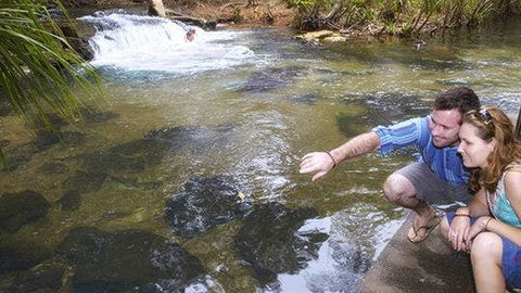 Berry Springs - Tourism Search 1