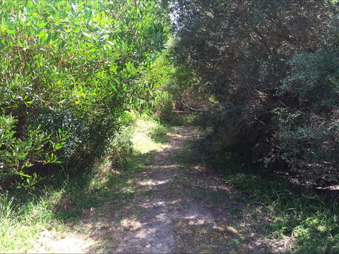 Bluff Track Fitness Trail - Tourism Search 2