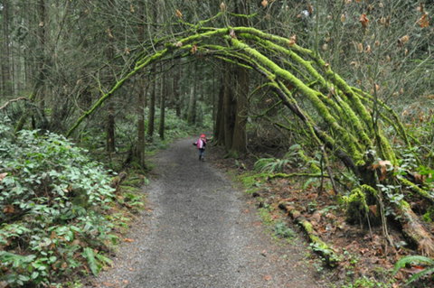 Bridle Trail - Tourism Search 0